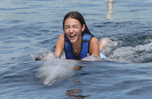 Swim with Dolphins!