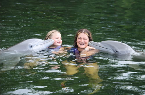 Swim with Dolphins!
