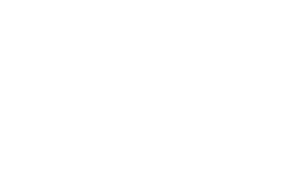 Dolphin Swim Adventure!