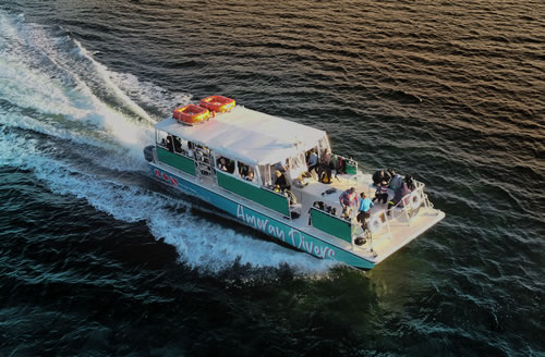 Amoray Diver Sunset Cruise Underway